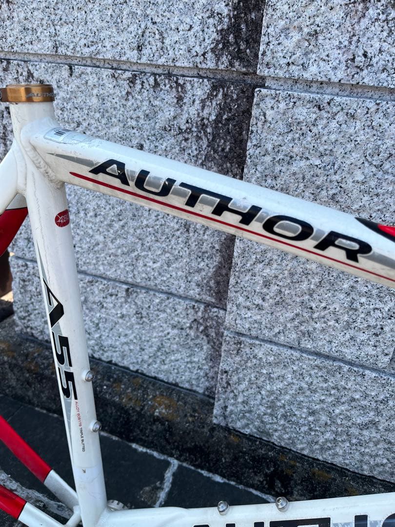 AUTHOR A55 サイズ480 フレーム