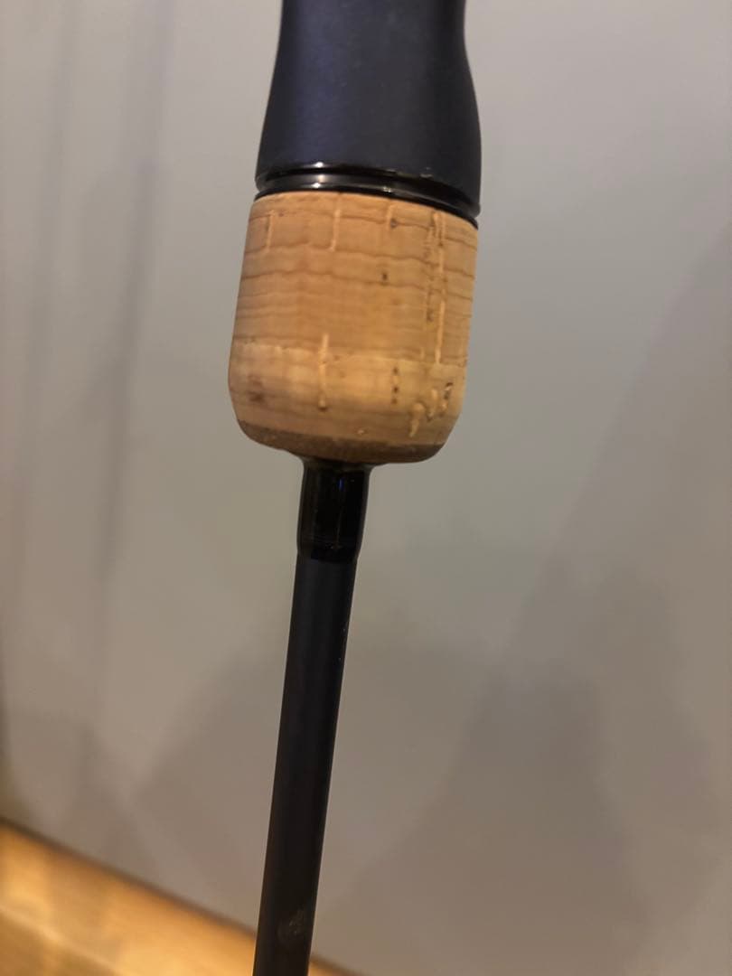ロッド Daiwa SALTIGA SJ61B-4