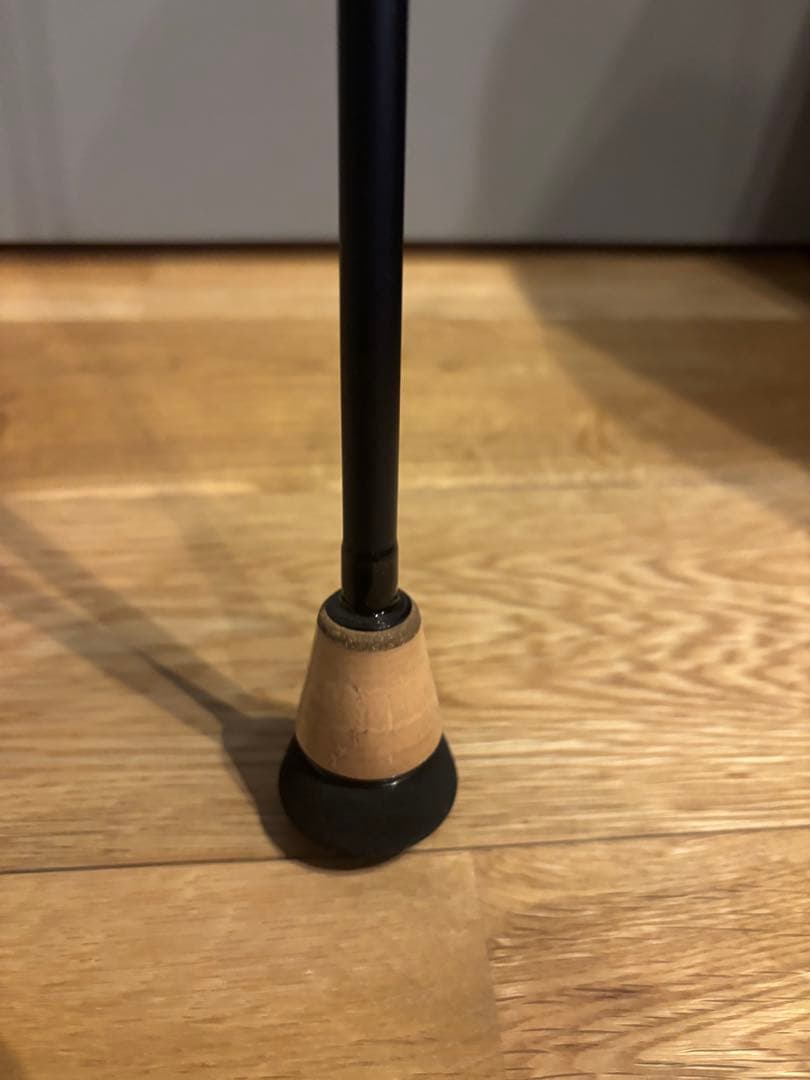 ロッド Daiwa SALTIGA SJ61B-4
