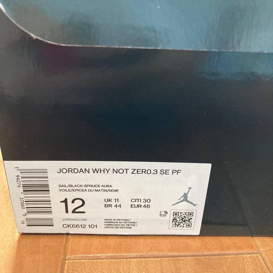 【未使用】JORDAN WHY NOT ZERO 3 30.0cm