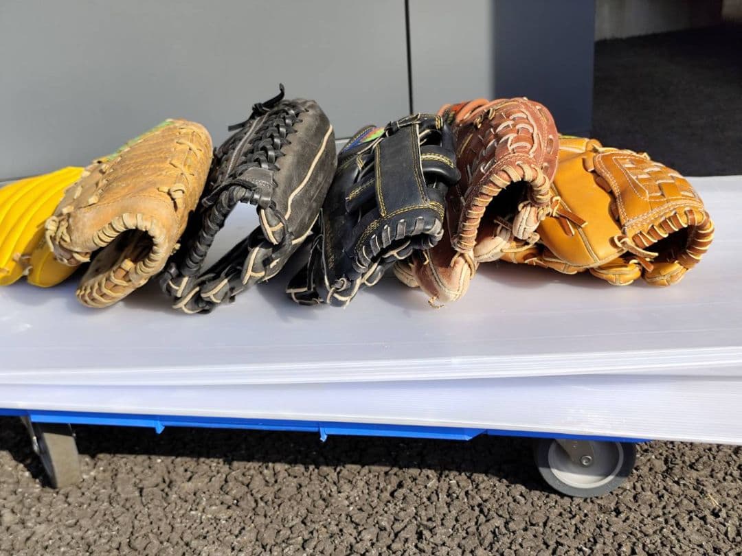 野球 グローブ まとめ売り