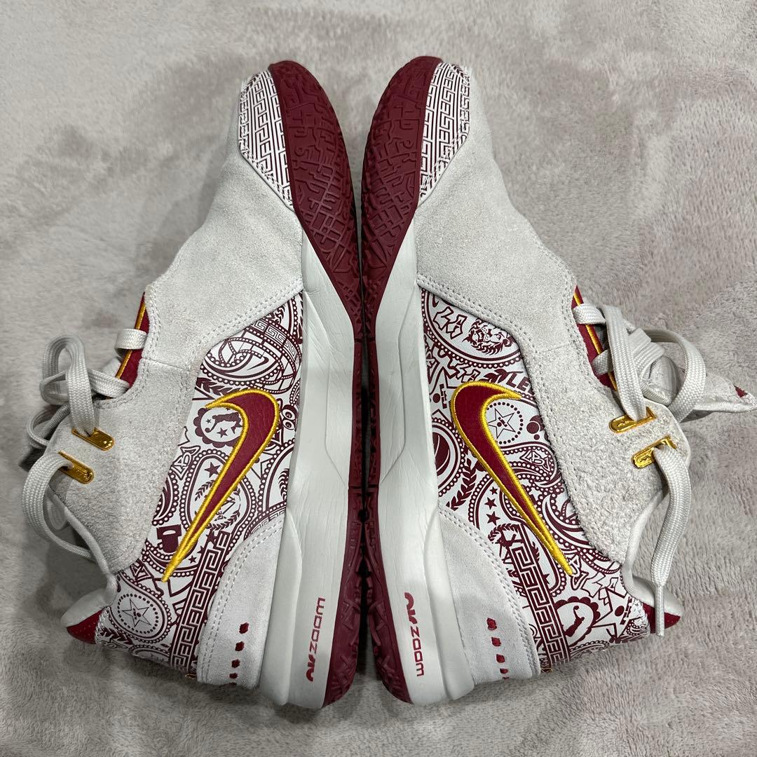 NIKE レブロン NXXT GEN AMPD EP