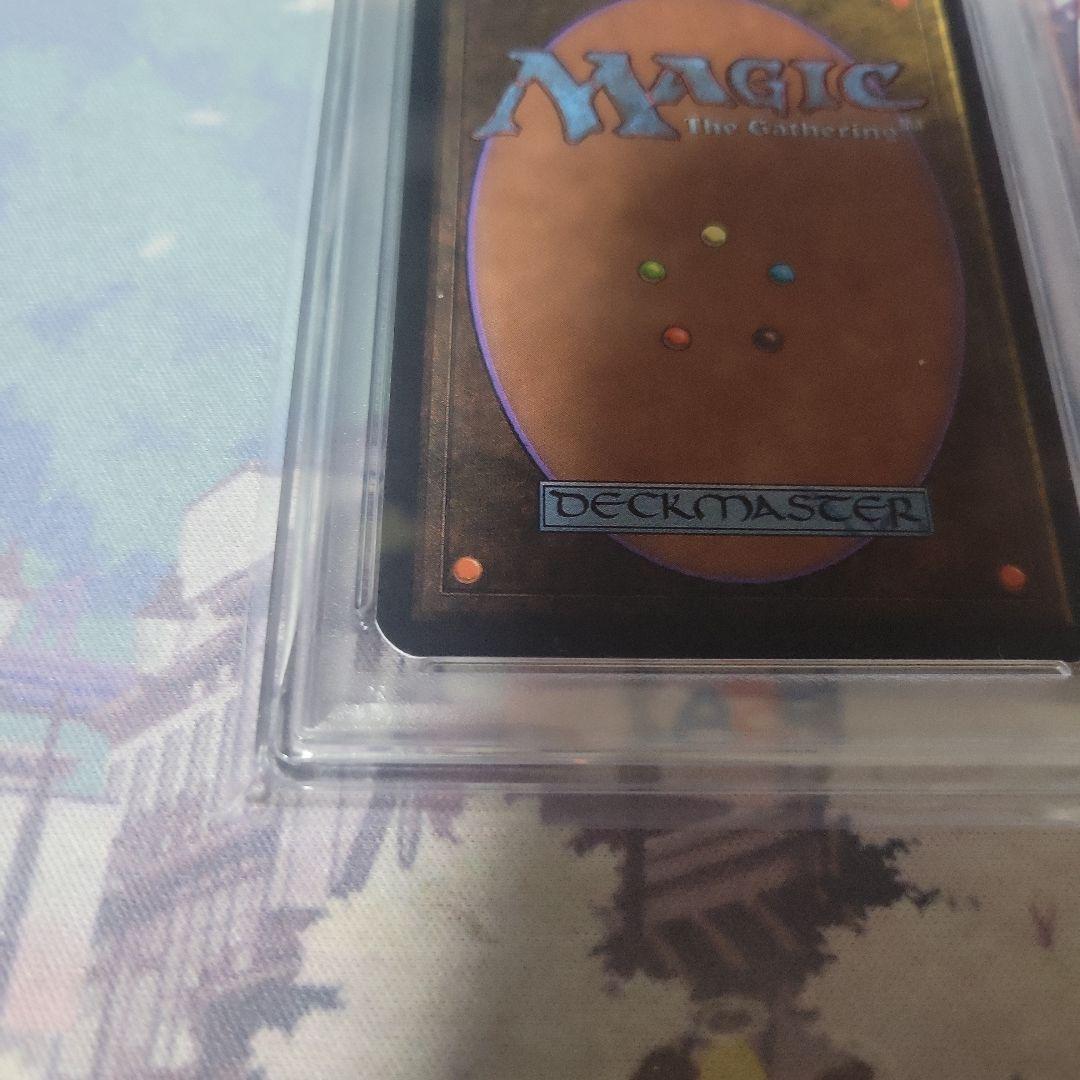 MTG 森 α PSA8