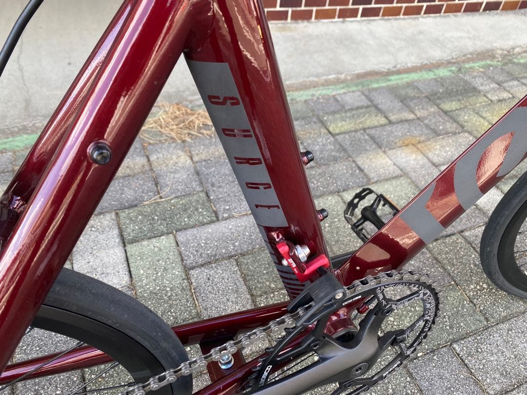 【美品・引き取り希望】tern surge ミニベロ プチカスタム