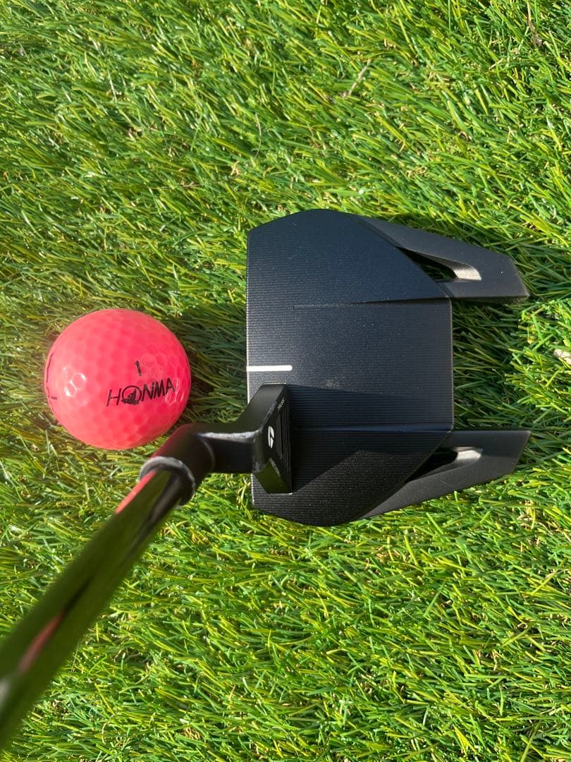 a*5様 TaylorMade(テーラーメイド) Spider GT TM1