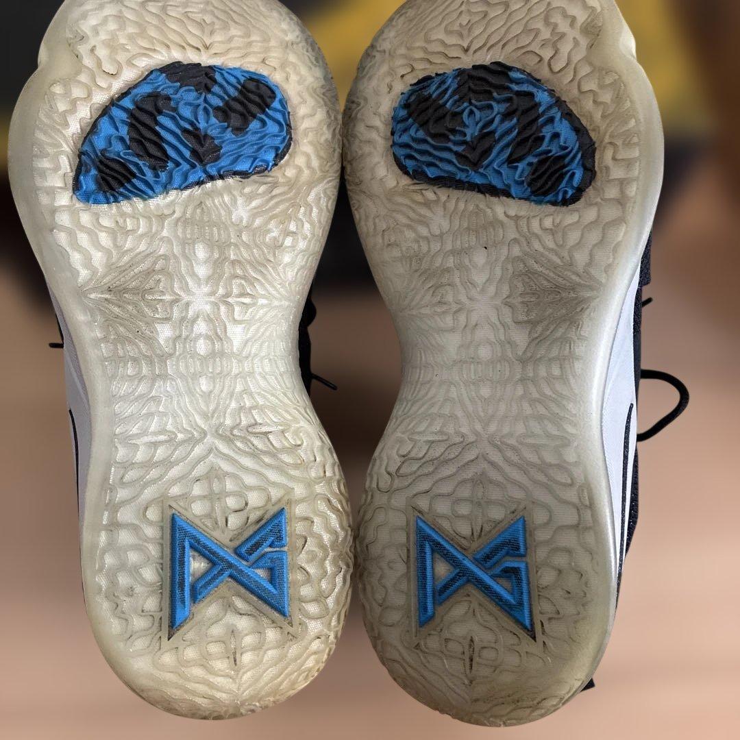 シューズ(男性用) NIKE PG2.5EP