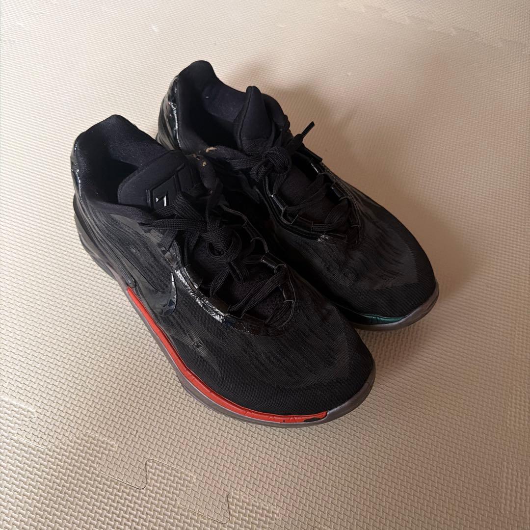 シューズ(男性用) NIKE AIR ZOOM G.T. CUT 2