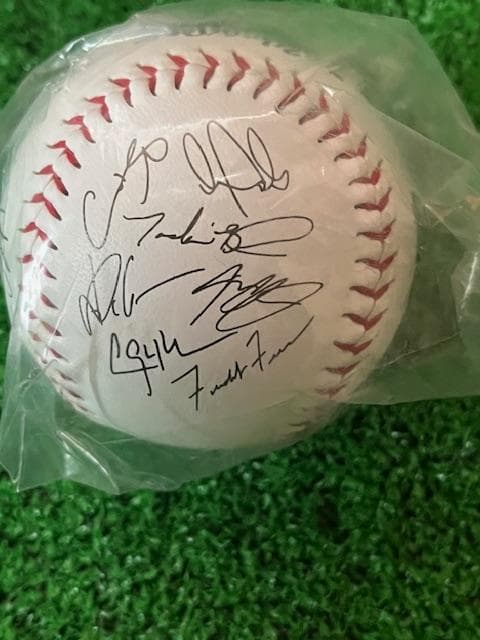 大谷翔平MLB2025WSチャンピオン記念サイン入ボールローリングス社US限定品