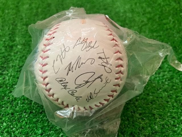 大谷翔平MLB2025WSチャンピオン記念サイン入ボールローリングス社US限定品