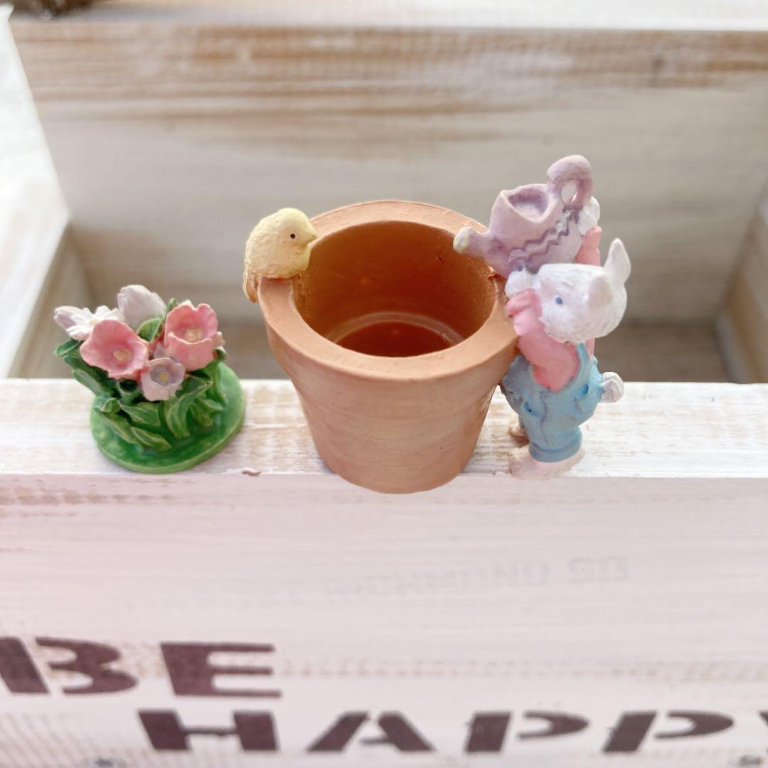 多肉植物 寄せ植え（ブラッドブリアナ）