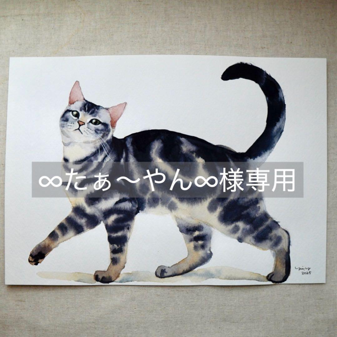 ∞たぁ〜やん∞ページ