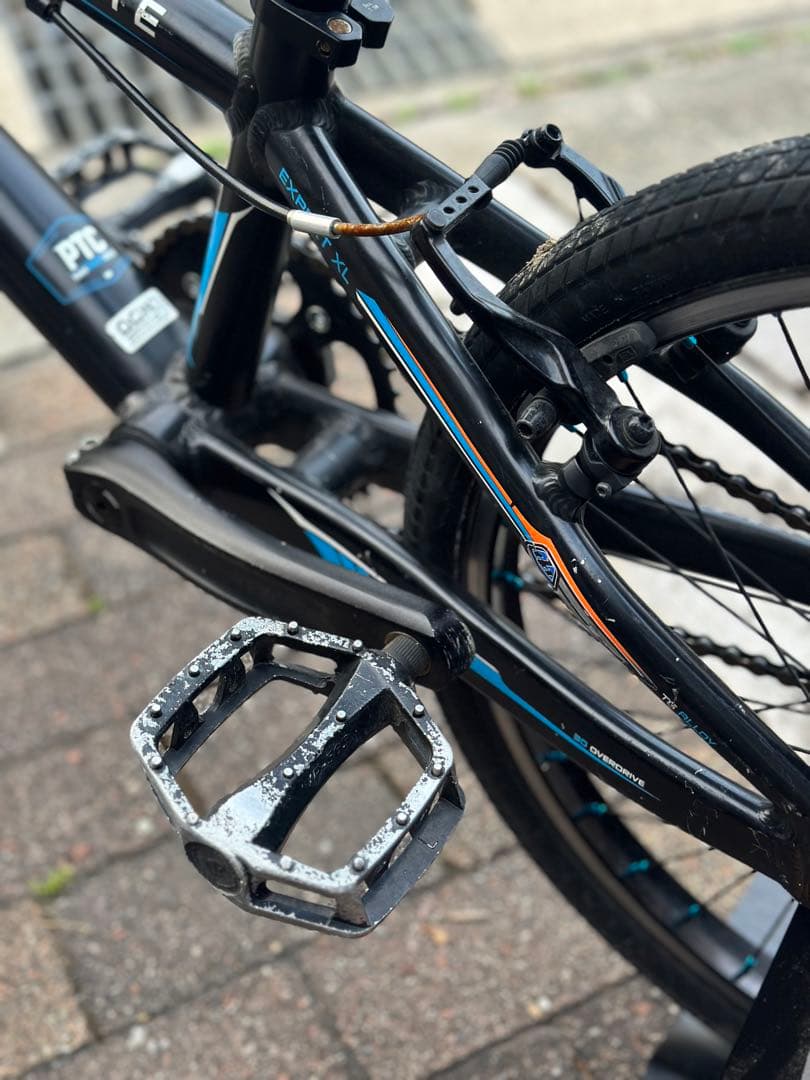 自転車本体 HARO RACE LITE EXPERT XL TroyLeeDesigns