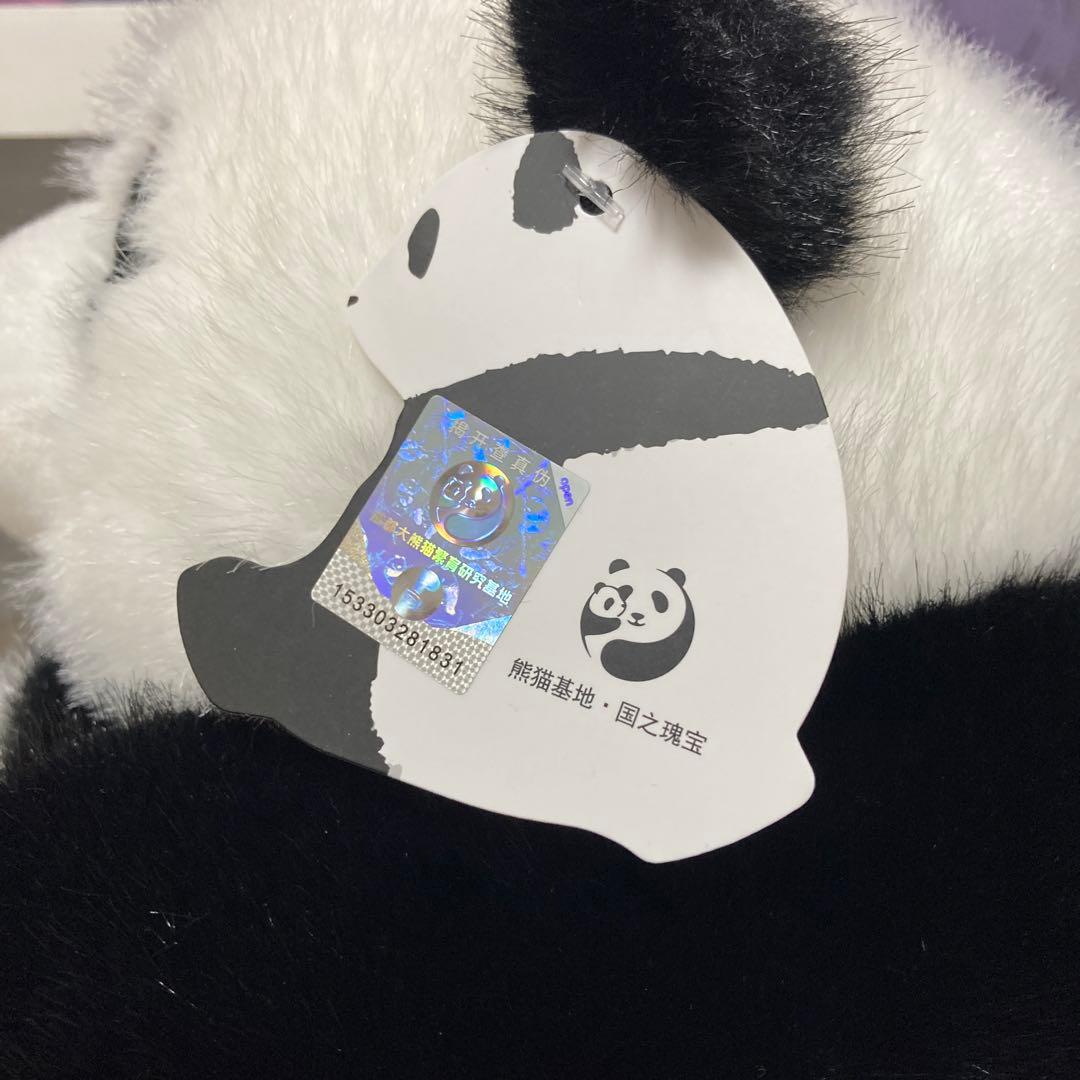 パンダのぬいぐるみ 中型 公式商品