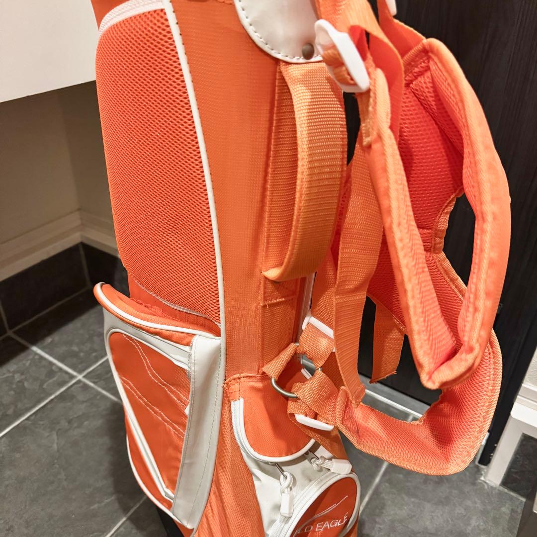 極美品 WORLD EAGLE ワールドイーグル フルセット 初心者 FL-01