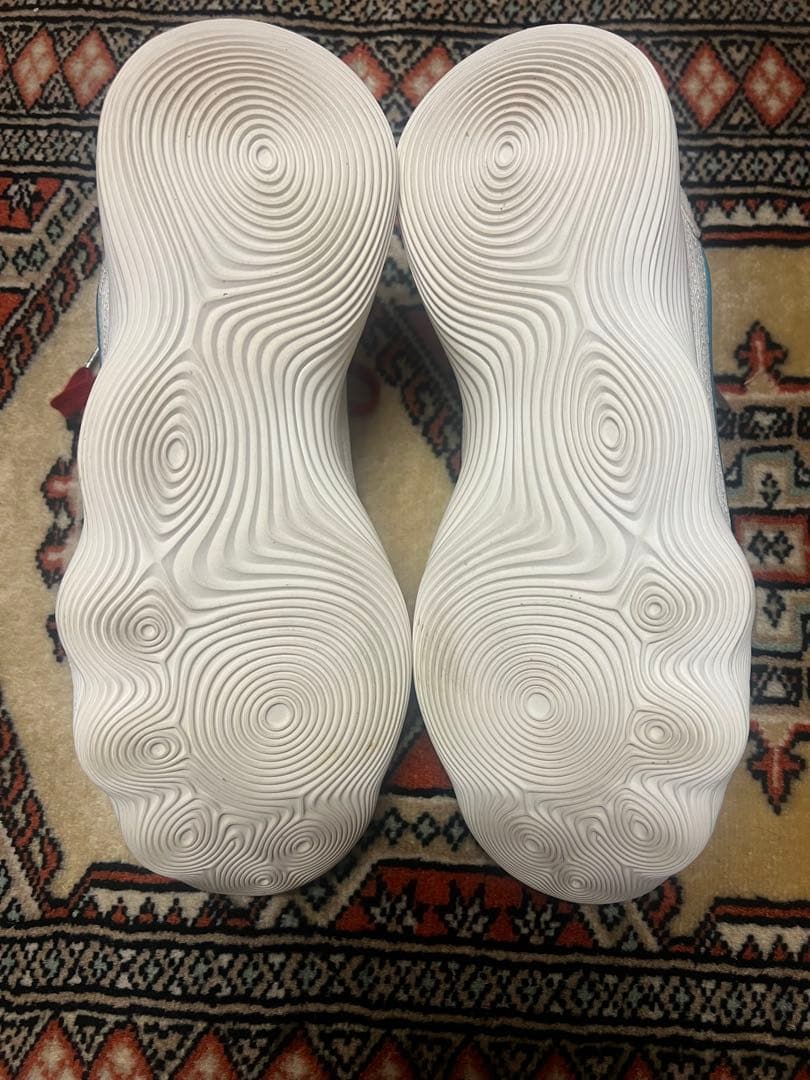 れ*ん様 Nike バスケットボールシューズ ハイパーダンク2017 low E