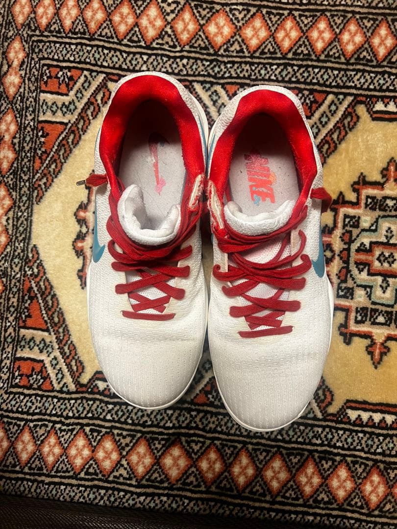 れ*ん様 Nike バスケットボールシューズ ハイパーダンク2017 low E