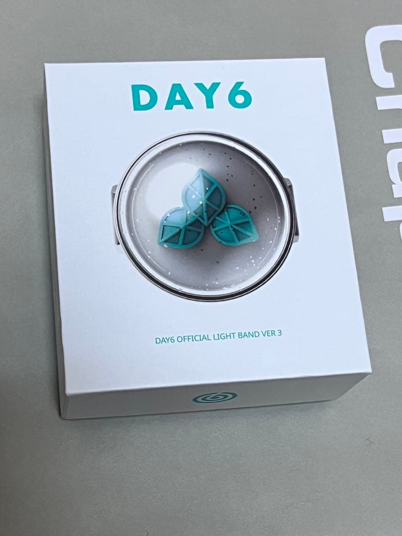 DAY6 公式ペンライト VER 3 ライトバンド マイデイウォッチ