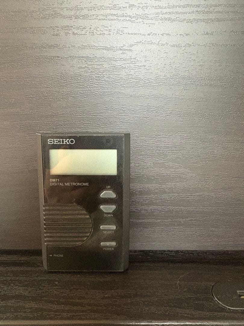 Roland HP 704 デジタルピアノ ダークウッド