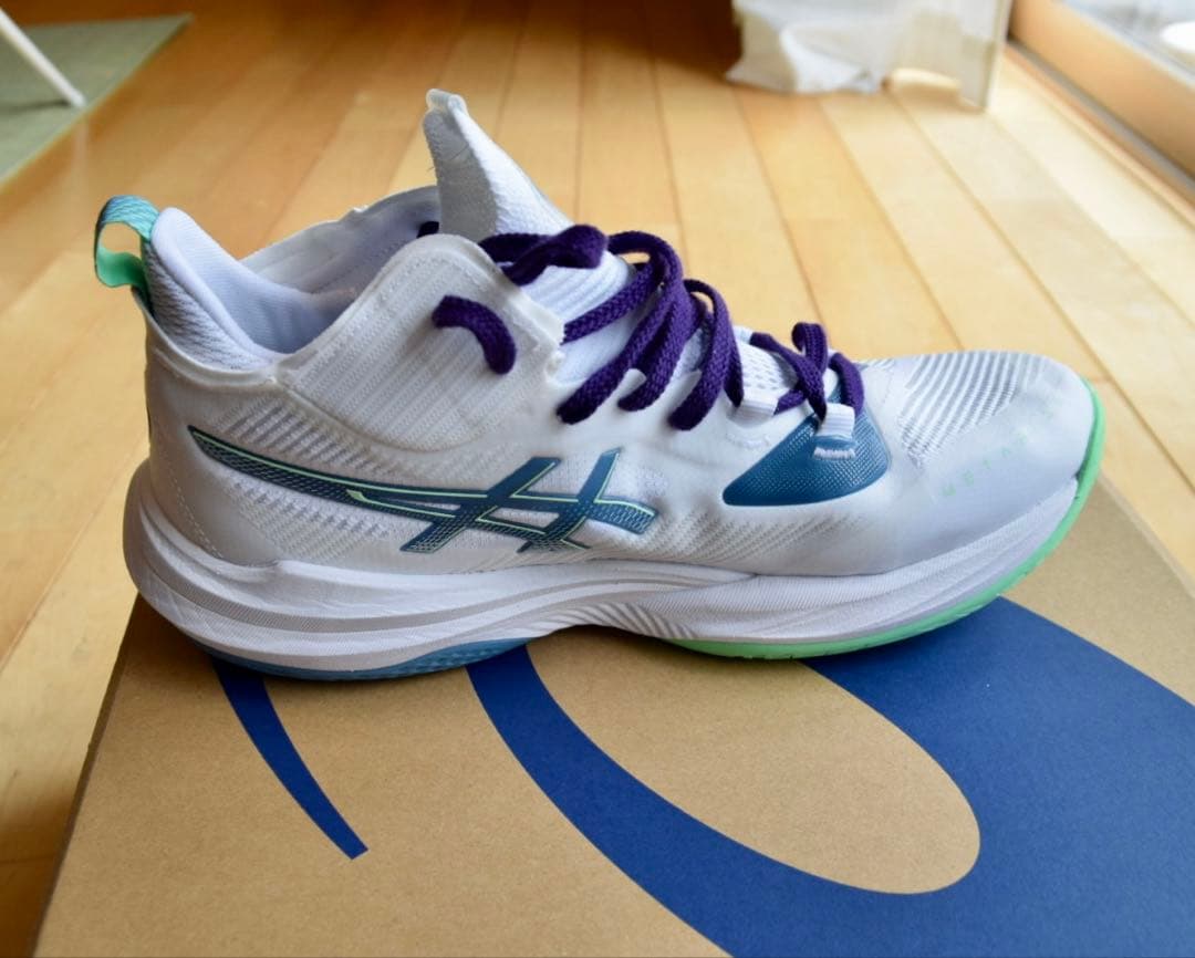 ASICS RISE2 27.5cm 1回着用　美品　箱付き