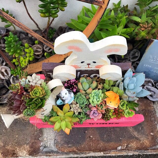 ★多肉植物　寄せ植え〜手作り木製　うさぎさん木箱〜★