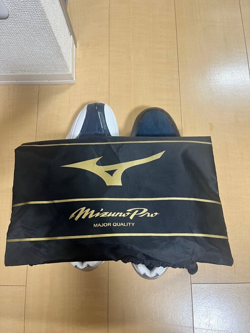 ミズノプロ　オーダースパイク　29センチ