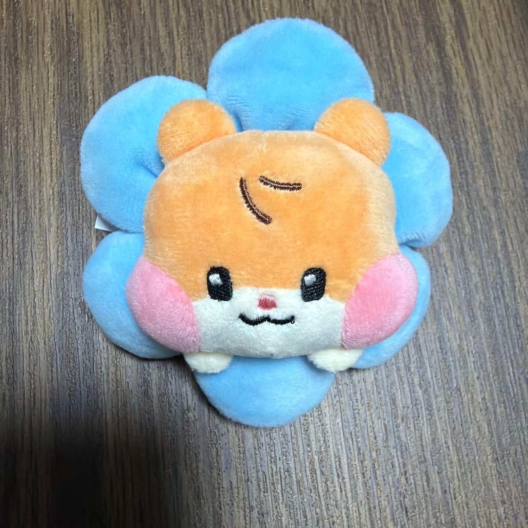 zeroni PLUSH BAND ビニニ ぬいぐるみ binini ハンビン