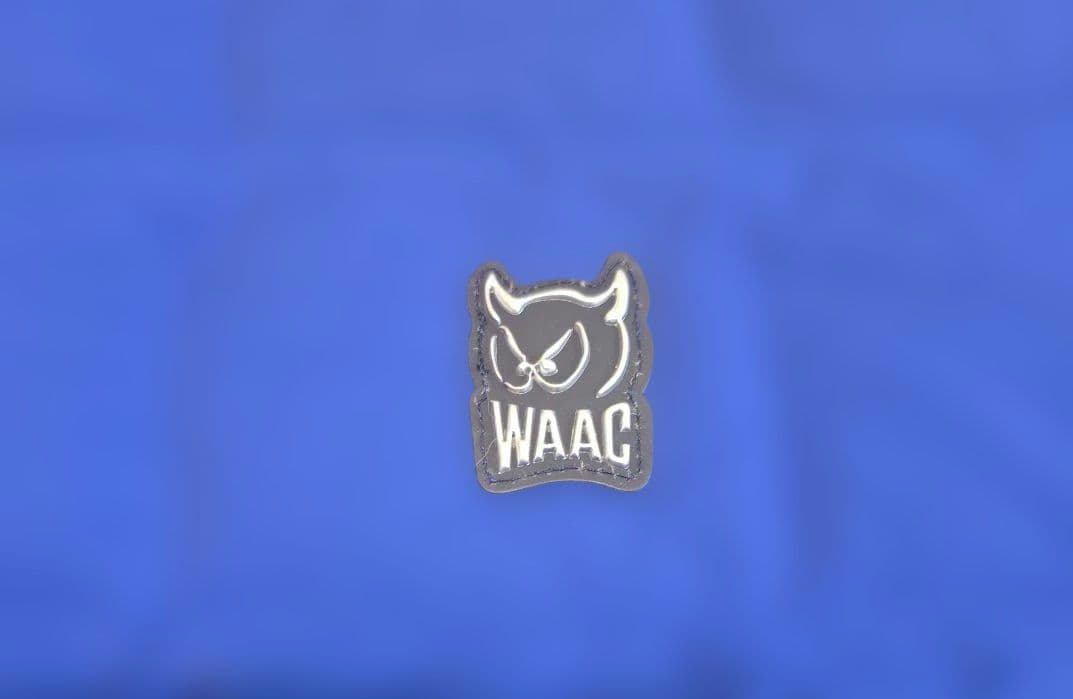 WAAC　Sサイズ　ダウンジャケット