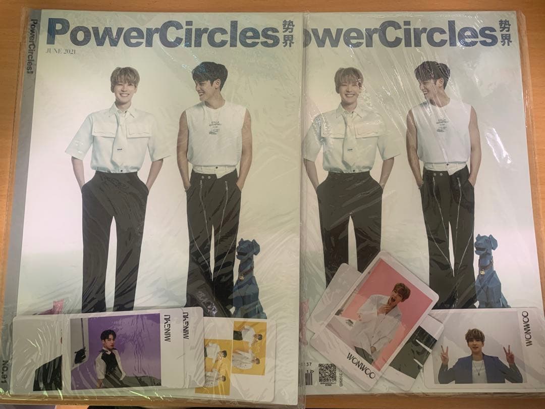 seventeen power circles ウォヌ ミンギュ