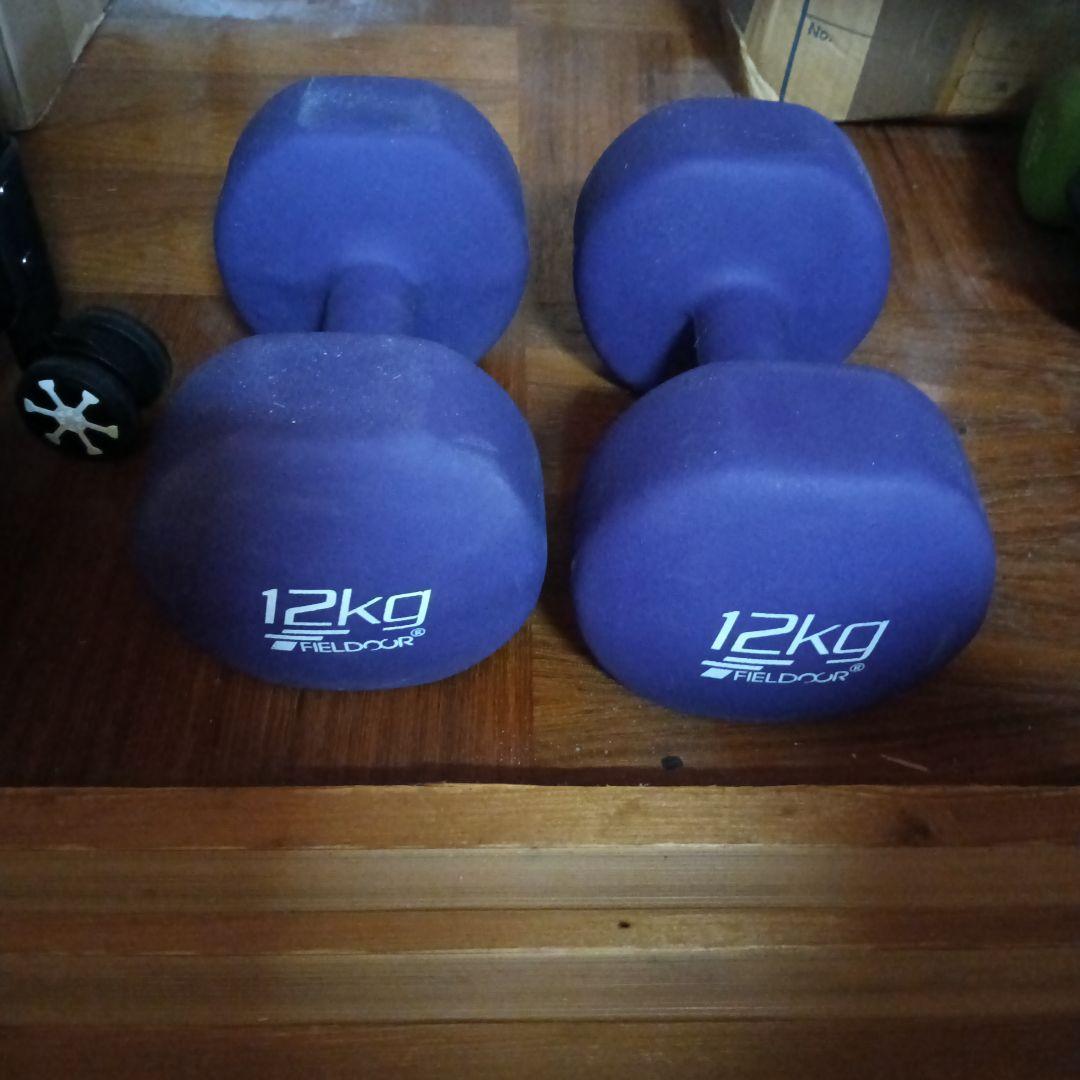 FIELDDOOR 12kg ダンベル 紫