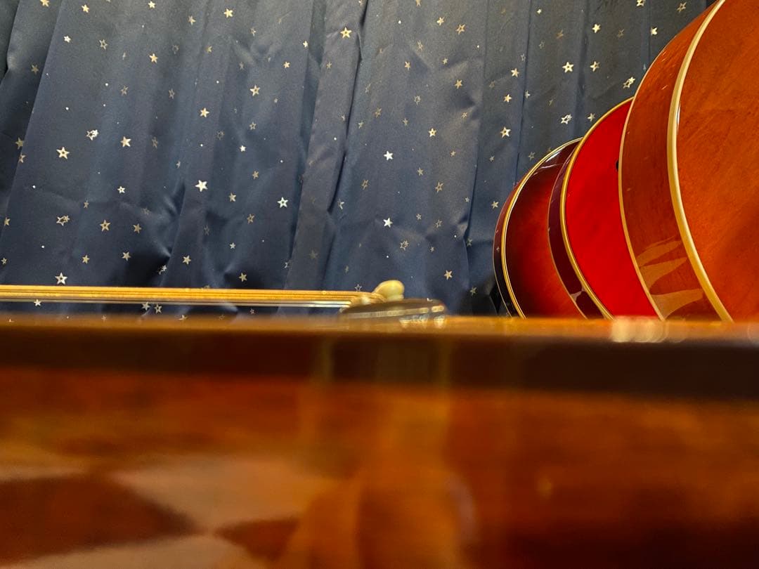 Takeharu Guitar WT150 (エレアコ仕様)