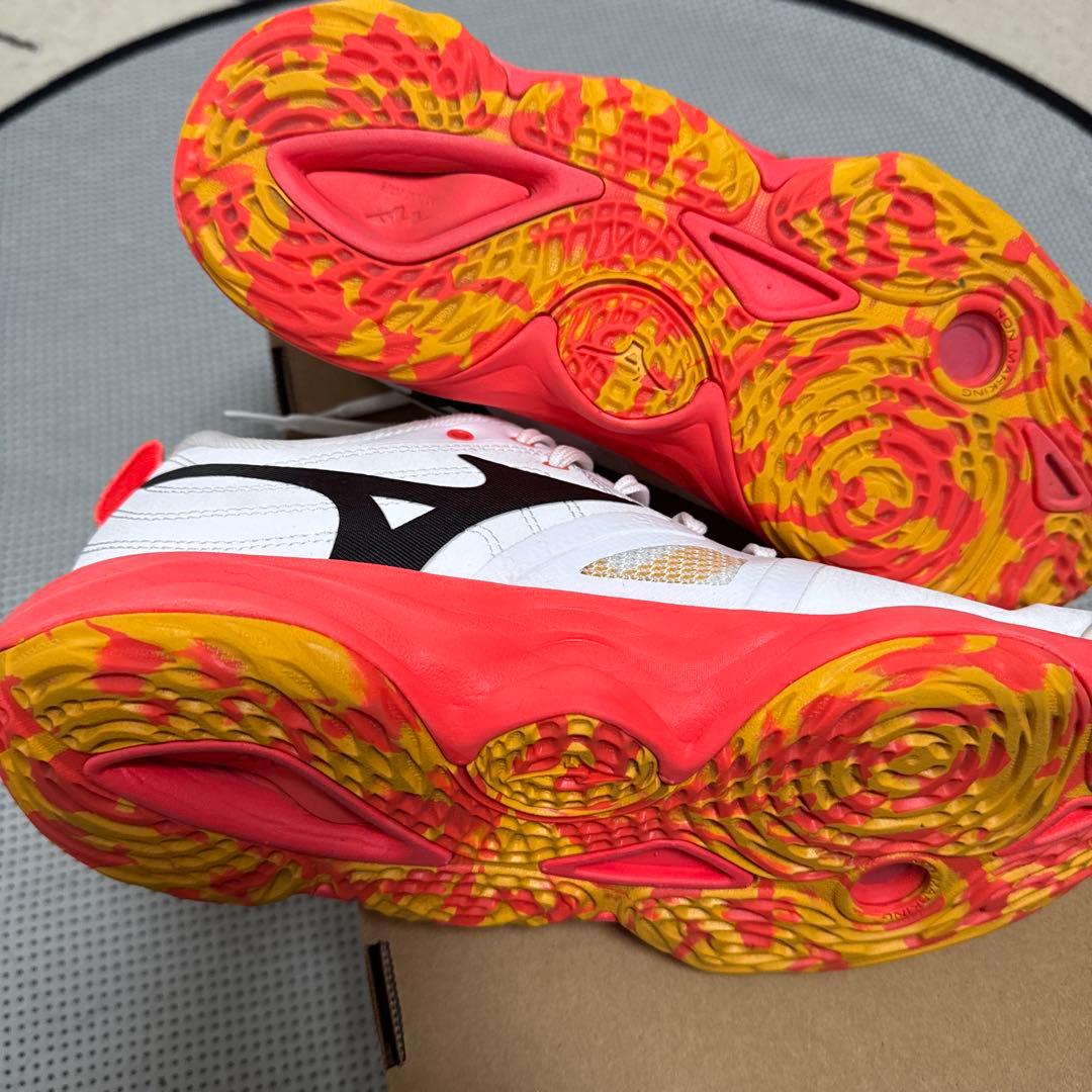 シューズ Mizuno WAVE MOMENTUM ELITE 25cm