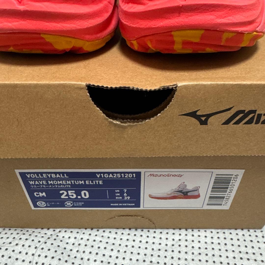 シューズ Mizuno WAVE MOMENTUM ELITE 25cm