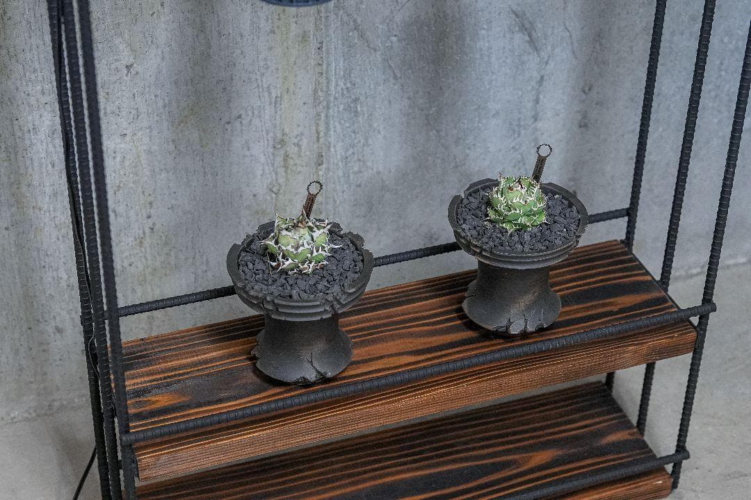 ツ*サ様 植物育成棚　ダクトレール付き アイアンシェルフ　男前インテリア 091