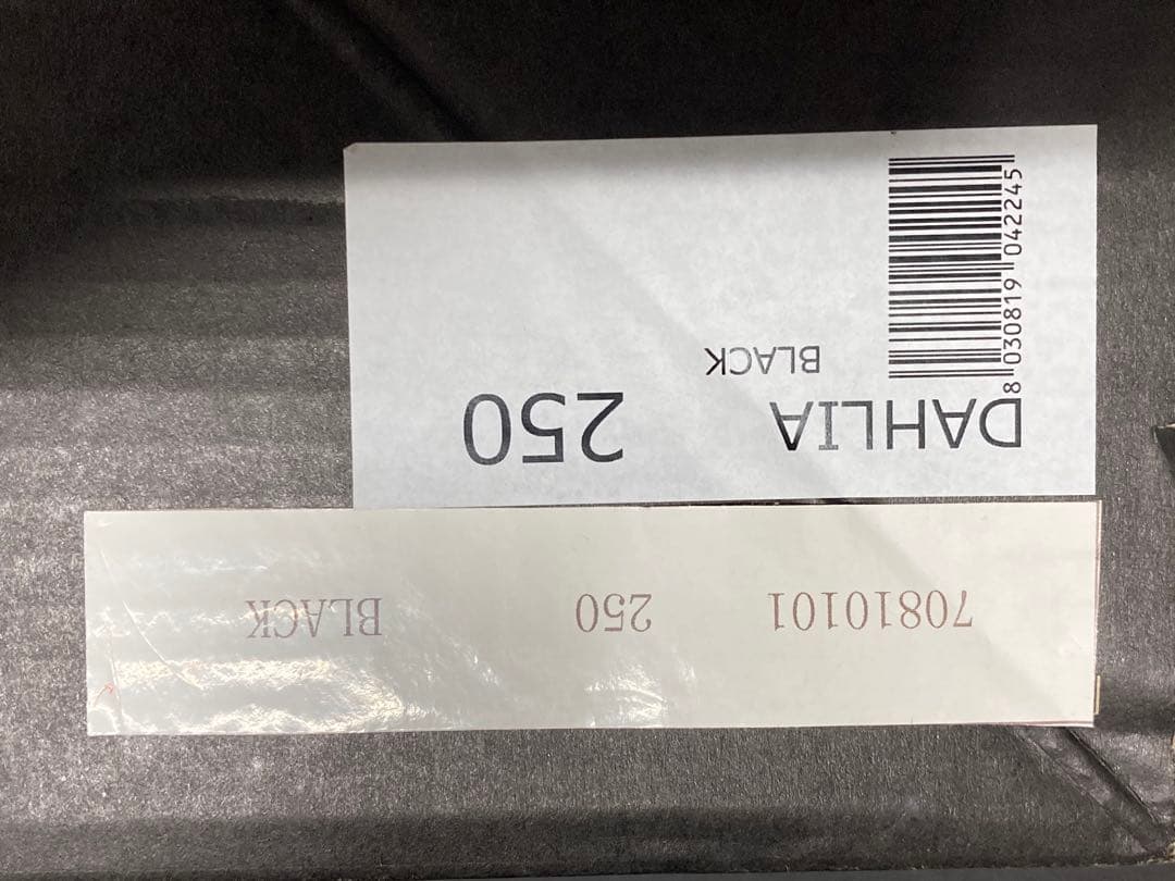 スノーボード DAHLIA 250