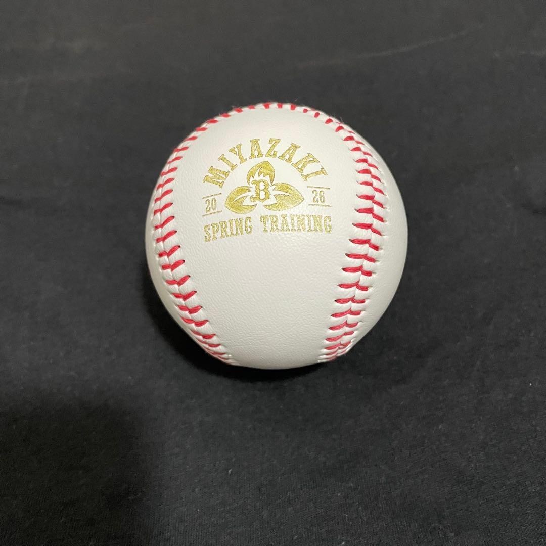 オリックスバファローズ　宮城大弥　直筆サインボール　キャンプ限定　ロゴ入り