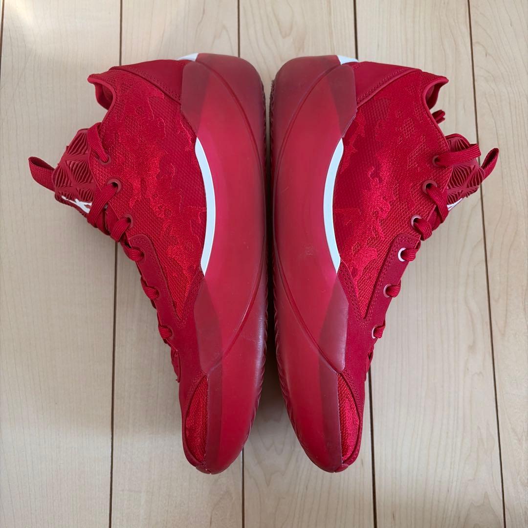 シューズ(男性用) Air Jordan39 PF