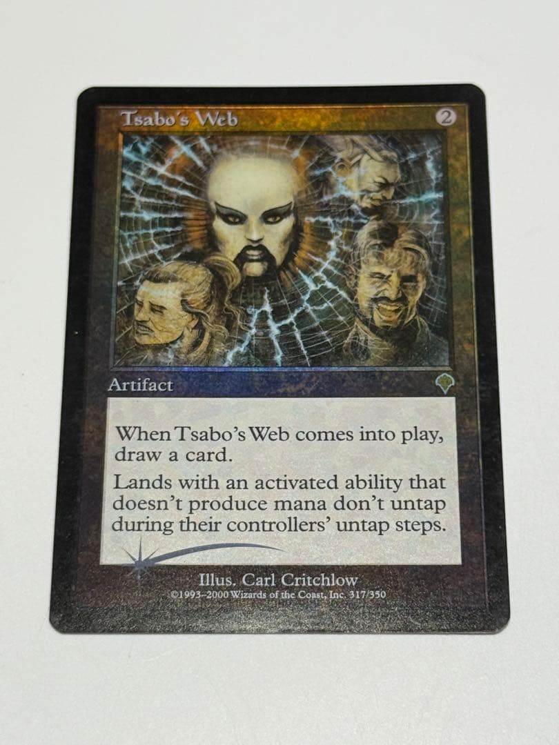 サーボの網　英語　FOIL
