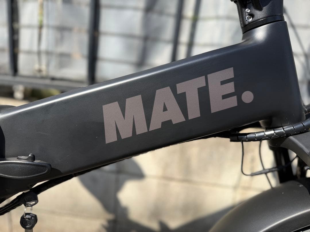 【極美品】現行最新最上位モデル MATE X EVO 2025年モデル