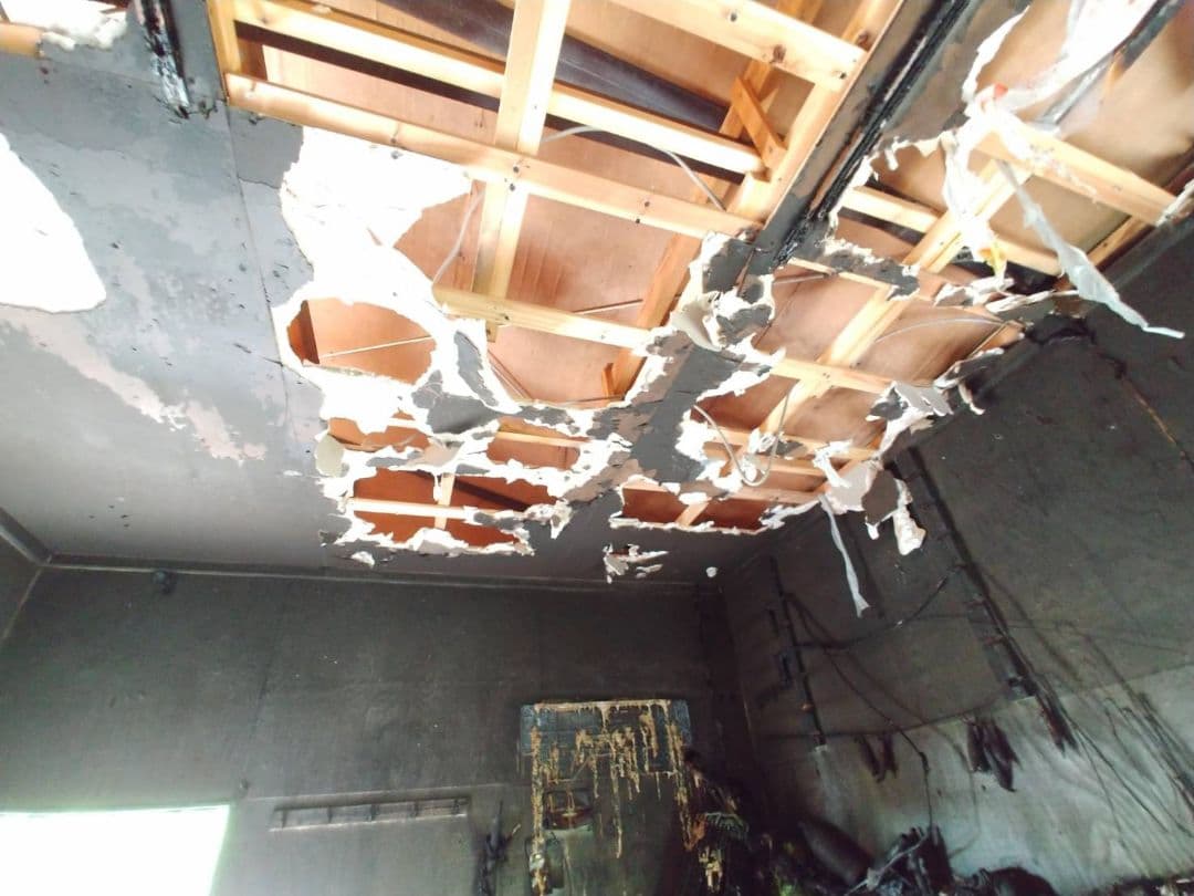 タマタマルアー アワテンボウ 火事からの生き残り品05
