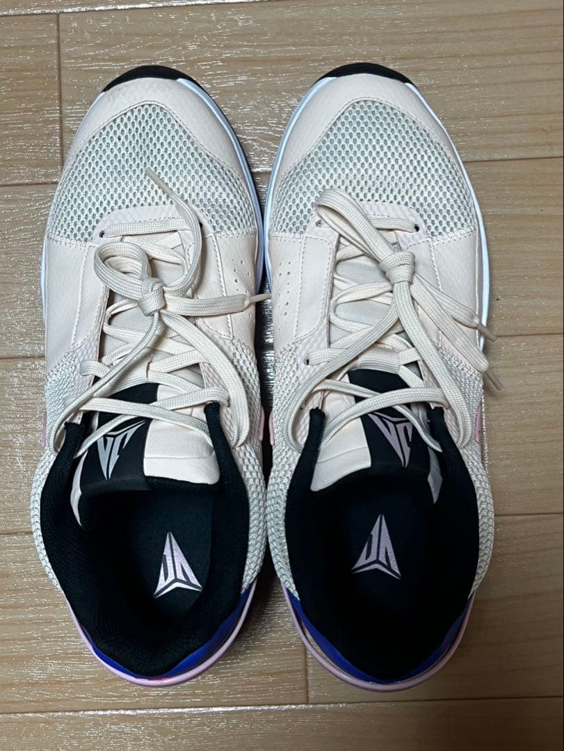 NIKE ja1 EP GUAVA ICE ジャ1 グァバアイス　30㎝