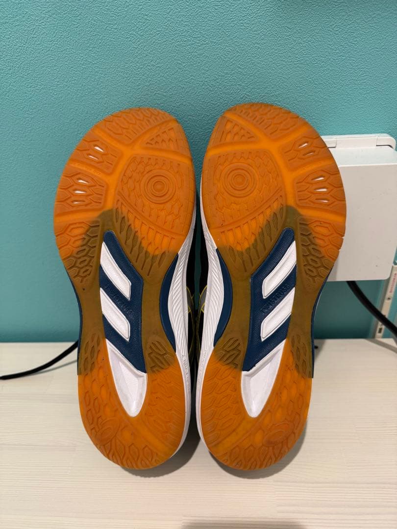 シューズ ASICS MOTE JAPAN LYTE FF3 27.5cm