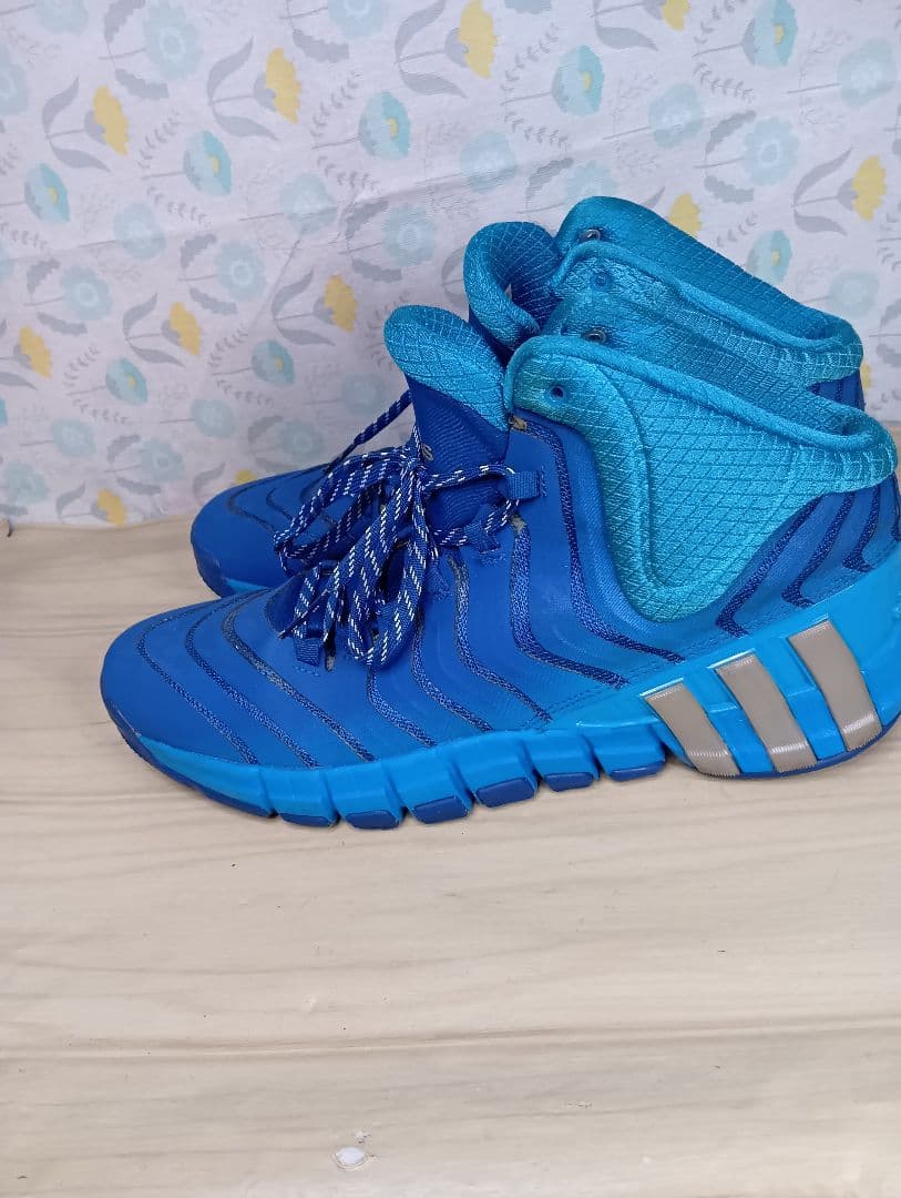 adidas アディダス バスケットシューズ ブルー 30cm(S-9)