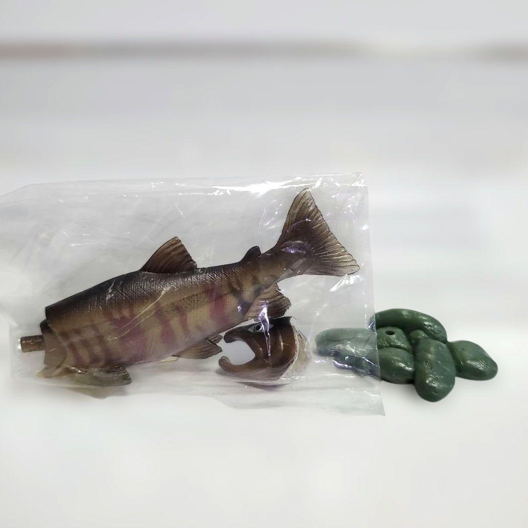 ユージン 原色淡水魚図鑑Ⅰ 全13種+シークレット1種セット