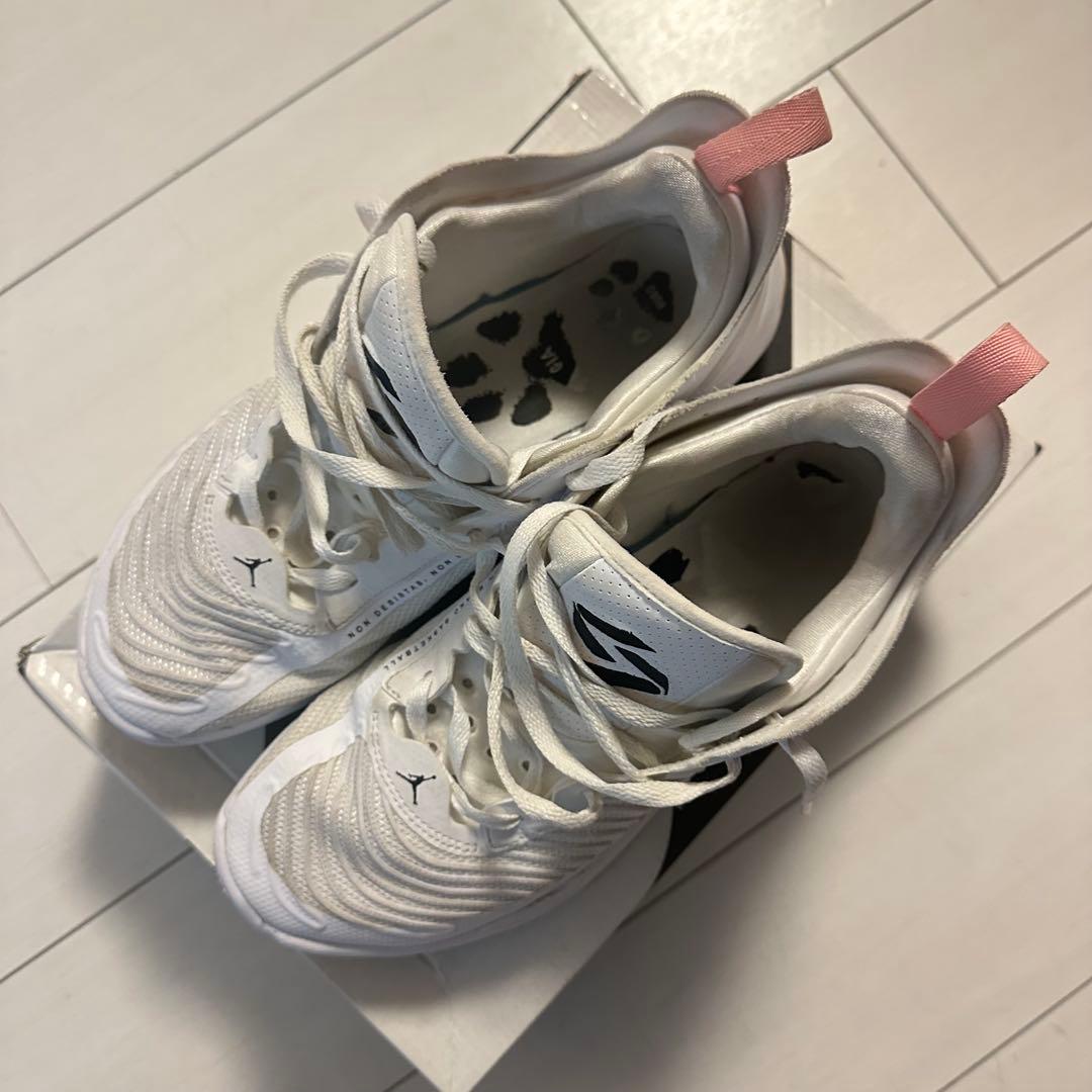 NIKE Jordan ルカ1 ホワイト/ピンク 27.5cm