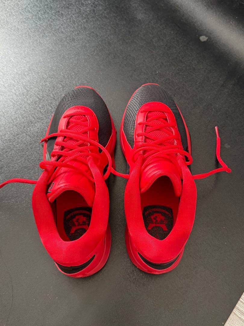 NIKE GIANNIS FREAK 6 EP /ヤニスフリーク6EP 赤×黒