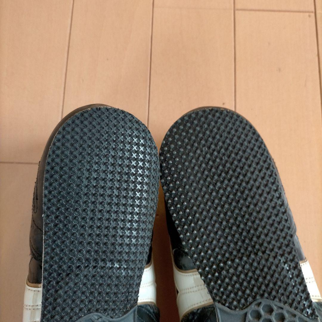 フィールドジオLJ-C 28.0cm