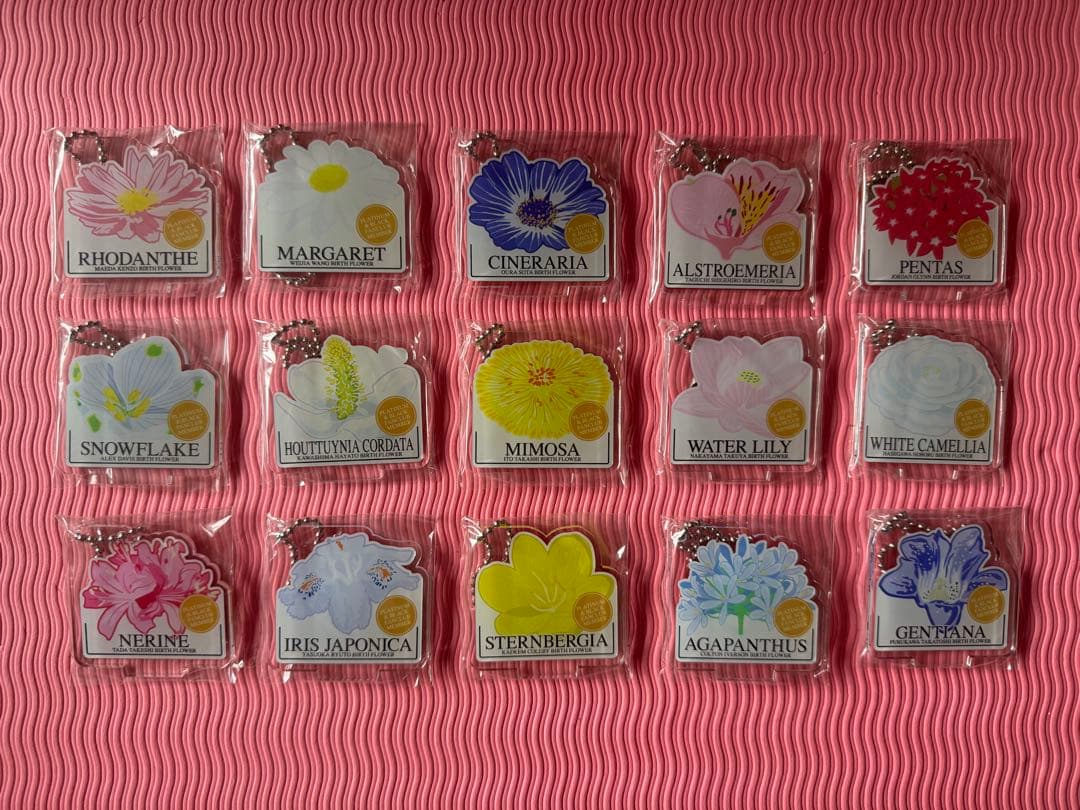 秋田ノーザンハピネッツ　コレクショングッズ