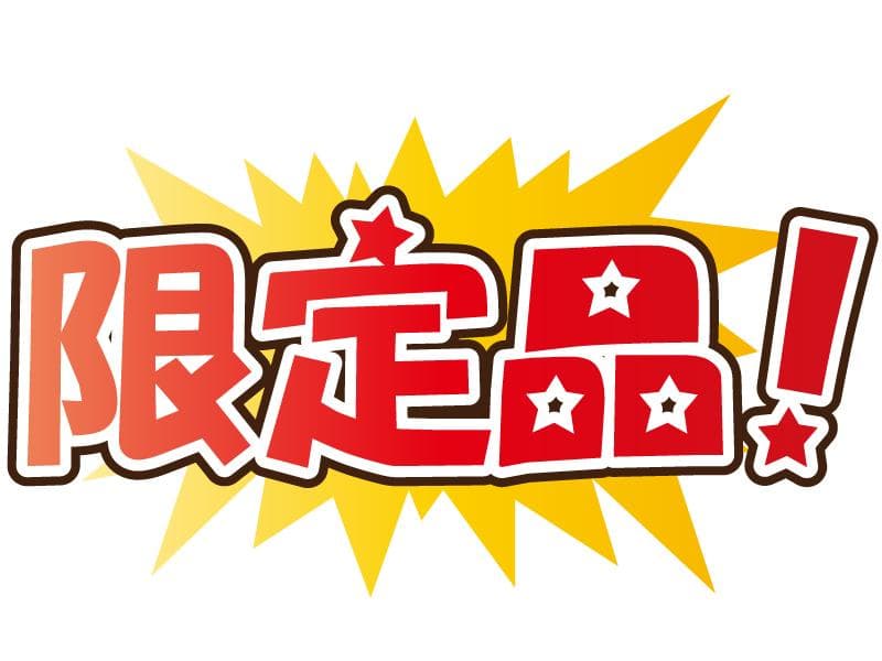 三優商会☆自転車 ハブ毛 レッド 20本（前後ⅹ10台分）