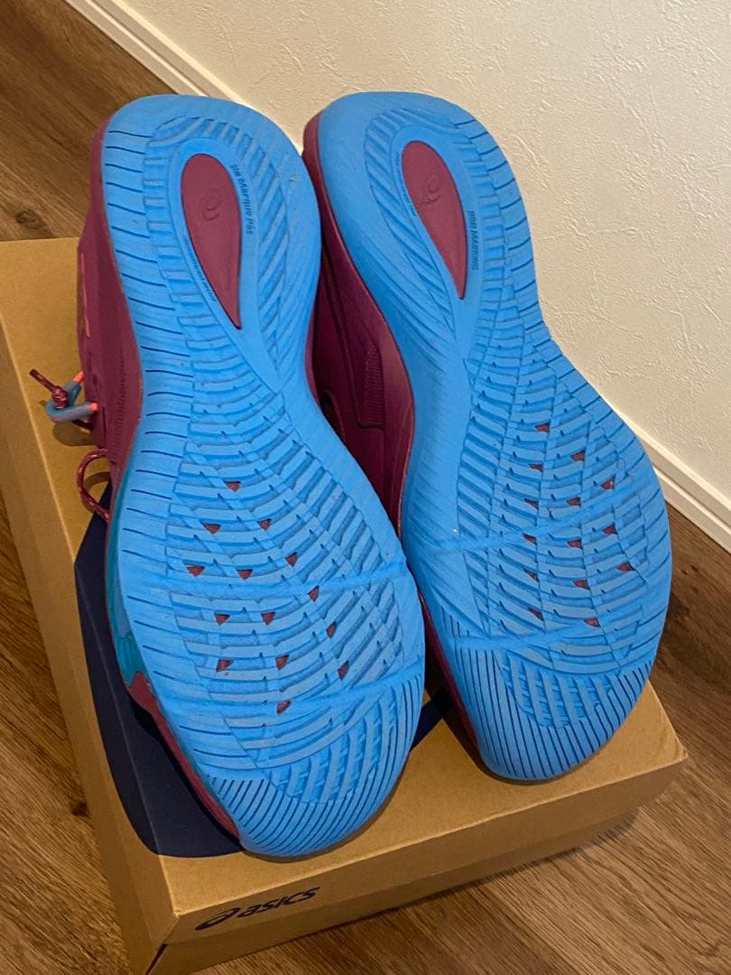 【美品】NOVA SURGE LOW 2 バスケットボールシューズ 29cm
