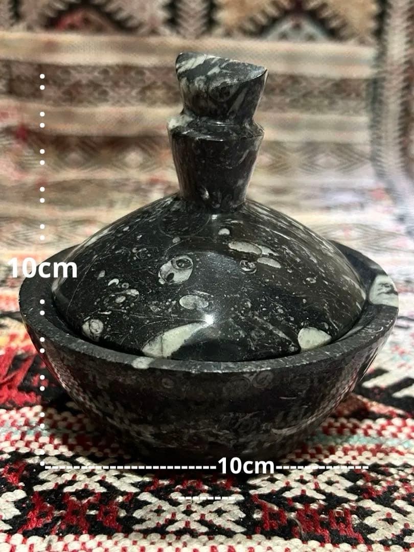 オルソセラス ゴニアタイト 化石 デボン紀石灰岩 小物入れ